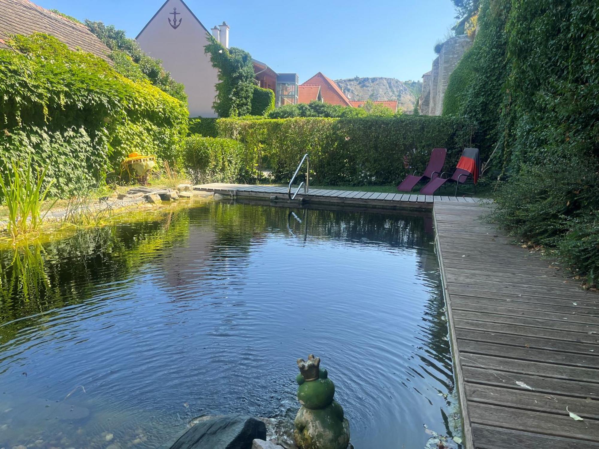 Gasthof Zum Goldenen Anker هاينبرغ آن دير دوناو المظهر الخارجي الصورة